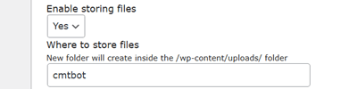 Automatic File Storage